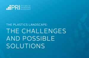 THE PLASTICS LANDSCAPE: THE CHALLENGES AND POSSIBLE SOLUTIONS
