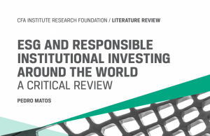 ESG and Responsible Institutional Investing Around the World: A Critical Review
