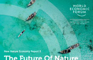 The Future Of Nature And Business, In collaboration with AlphaBeta