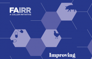 Improving Antibiotics Stewardship in Livestock Supply Chains | Report | FAIRR