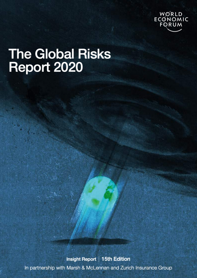 2020 GLOBAL RISK REPORT visual data 3