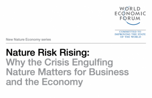 Nature Risk Rising: Why the Crisis Engulfing Nature Matters for Business and the Economy