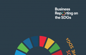 In Focus: Addressing Investor Needs in Business Reporting on the SDGs