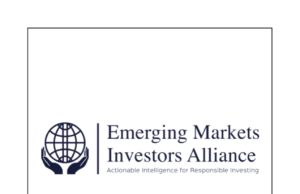 White Paper on Sustainable Solutions to the Emerging Markets Debt Crisis