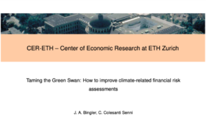 Taming the Green Swan: How to improve climate-related financial risk assessments