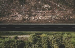 Research: Deforestation Risk in the Brazilian Soy Supply Chain | Emerging Markets Investors Alliance