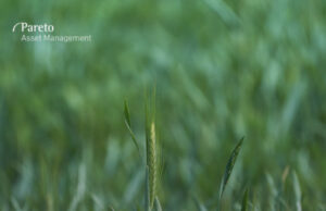 Lessons from the Swedish green bonds market during the Covid-19 crisis