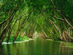 NGOs Perspective: PRB Banks Responsible for Over US$1.25 Trillion in Climate-Destructive Financing Since Paris Agreement