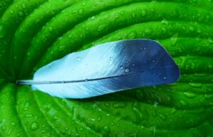 Climate Change After COVID-19: Harder to Defeat Politically, Easier to Tackle Economically | David Klenert, European Commission | Franziska Funke, Vox EU