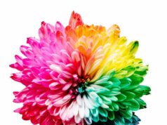 Refinitiv Announces the 2020 D&I Index Top 100 Most Diverse & Inclusive Organizations Globally