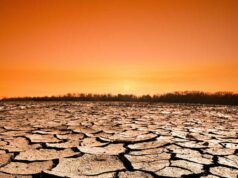 Investing in a Changing Climate | Aberdeen Standard Investments