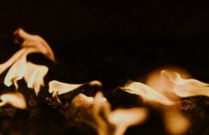 COVID-19 Could Distract the World from Even Greater Threats | Peter Giger, Chief Risk Officer | Zurich Insurance Group