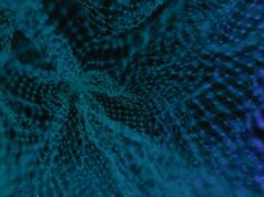 The Financial Stability Board (FSB) Examines Financial Stability Implications of Climate Change