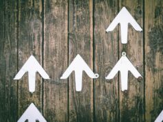 Sustainability in Investment Management at a Pivotal Juncture | Demand Will Drive Growth if Industry Adapts | CFA Institute