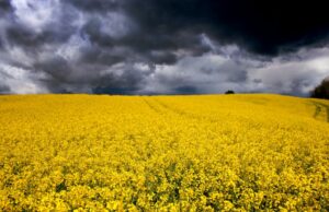 The importance of being active on climate change