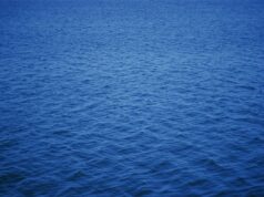 Sustainability Reporting as a Global Governance Challenge | Perspectives & Comments