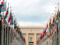 Facilitating business action on the SDGs