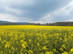 Certificate in ESG Investing | CFA Society Germany