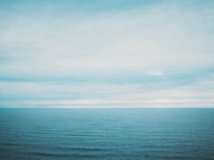 Corporate Reporting Dialogue Dissolves | Value Reporting Foundation, EFRAG, GRI, CDP, IFRS, ISSB