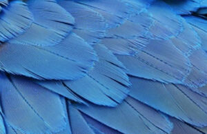 Climate as Core | Arabesque Asset Management