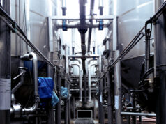 Are companies committed to SDGs?