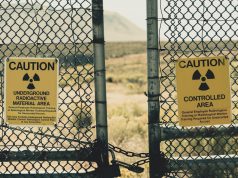 The Risk of Considering an Inclusion of Natural Gas and Nuclear Energy in the EU Taxonomy