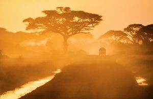 Partnership for responsible business in Africa