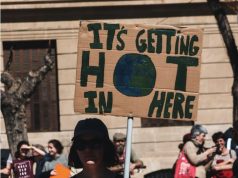 Greenpeace will take the European Commission to the court over taxonomy greenwashing