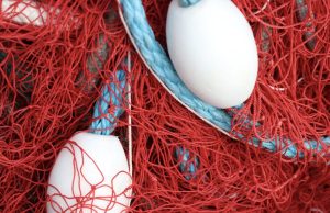 EC admits that its legally binding objective to end overfishing by 2020 was not met