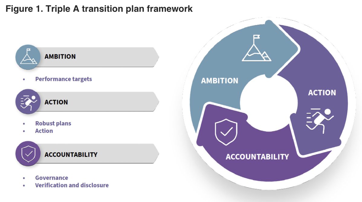 Frameworks to Assess Transition