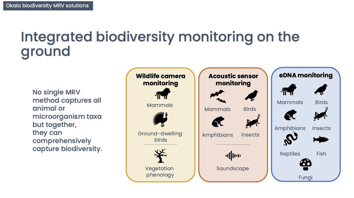 Private Capital Meets Nature: Biodiversity markets are shaping up in ...